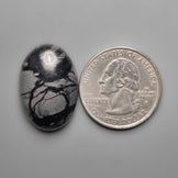 Picasso Jasper Cabochon
