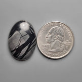 Picasso Jasper Cabochon