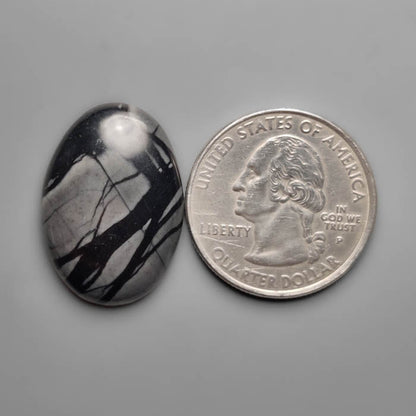 Picasso Jasper Cabochon