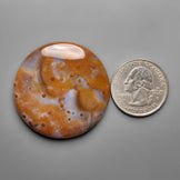 Polka Dot Agate Cabochon
