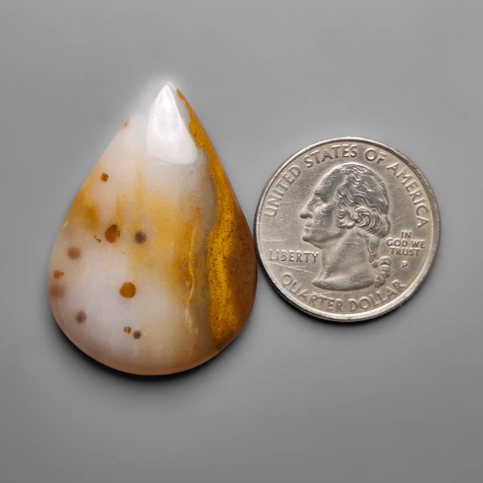Polka Dot Agate Cabochon