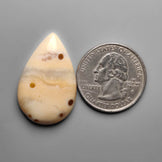 Polka Dot Agate Cabochon