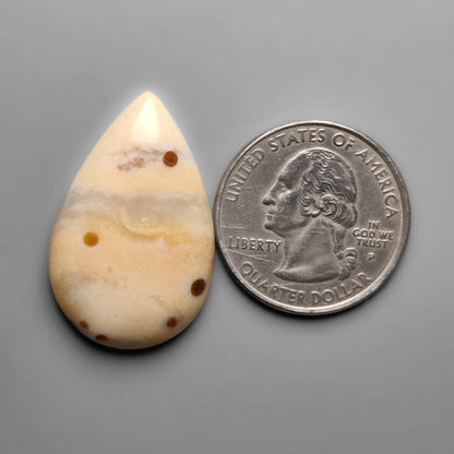 Polka Dot Agate Cabochon