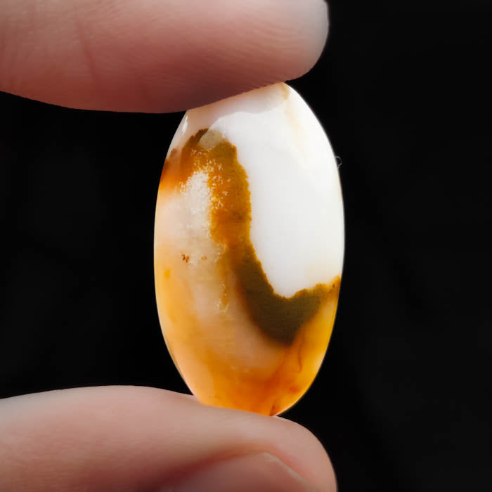 Polka Dot Agate Cabochon