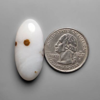 Polka Dot Agate Cabochon
