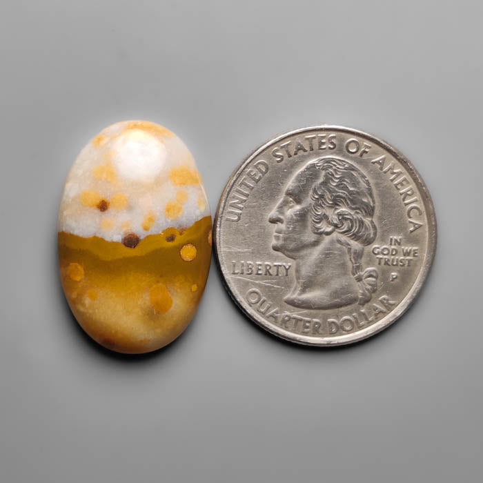 Polka Dot Agate Cabochon
