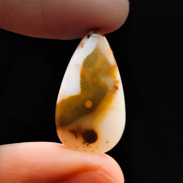 Polka Dot Agate Cabochon