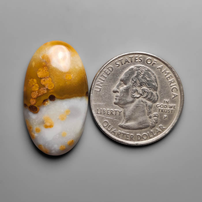 Polka Dot Agate Cabochon