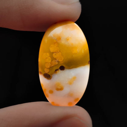 Polka Dot Agate Cabochon