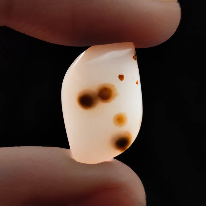 Polka Dot Agate Cabochon