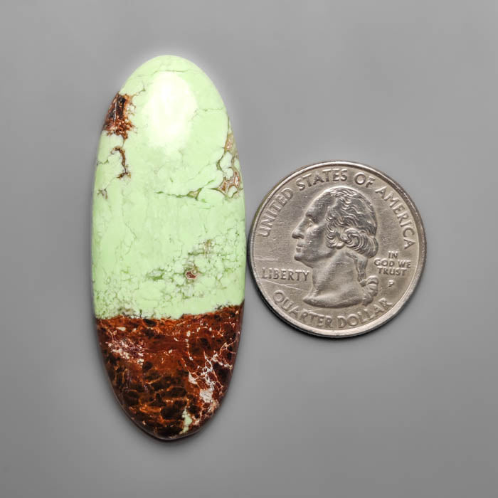 Bi-color Lemon Chrysoprase Cabochon
