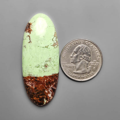 Bi-color Lemon Chrysoprase Cabochon