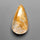Lodolite