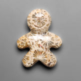 Fossil Coral