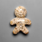 Fossil Coral