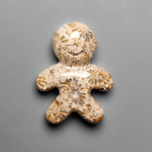 Fossil Coral