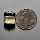 Black Onyx Inlay Abalone Shell