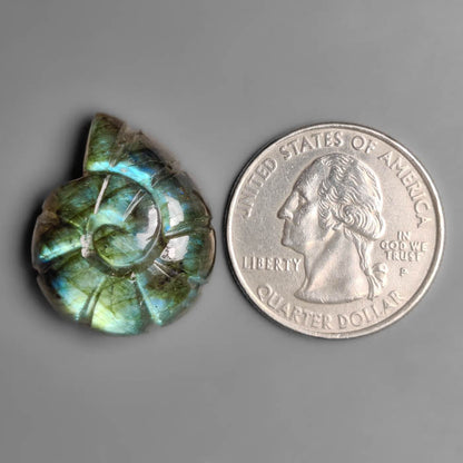 Labradorite Ammonite Shell Carving