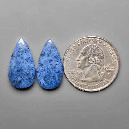 Dumortierites Pair