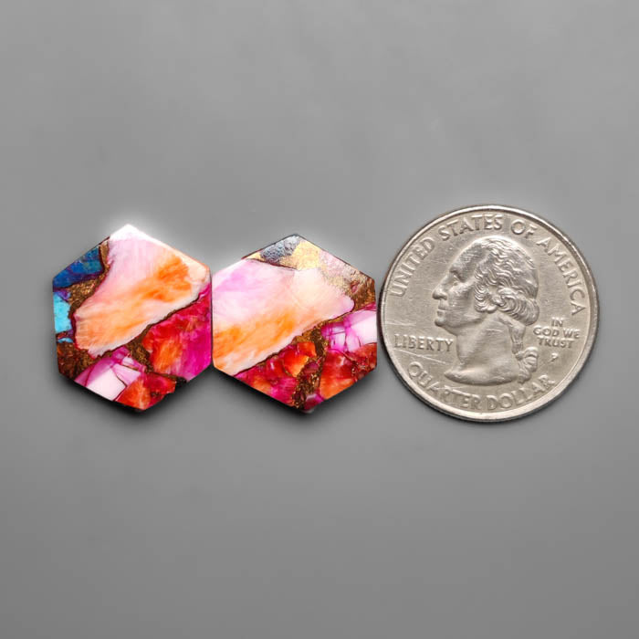 Spiny Oyster Mohave Turquoise Hexagons Pair
