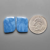 Owyhee Blue Opal Pair