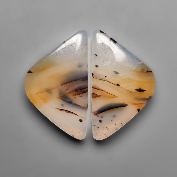 Montana Agate