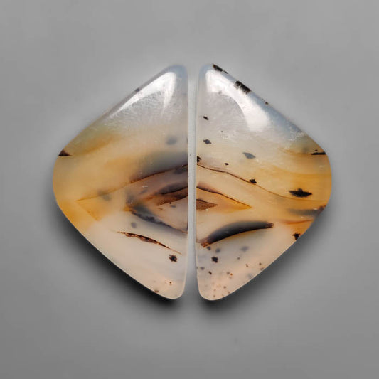 Montana Agate
