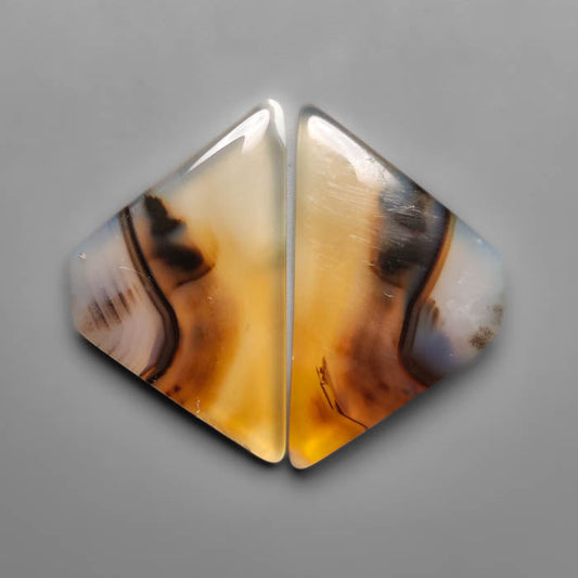 Montana Agate
