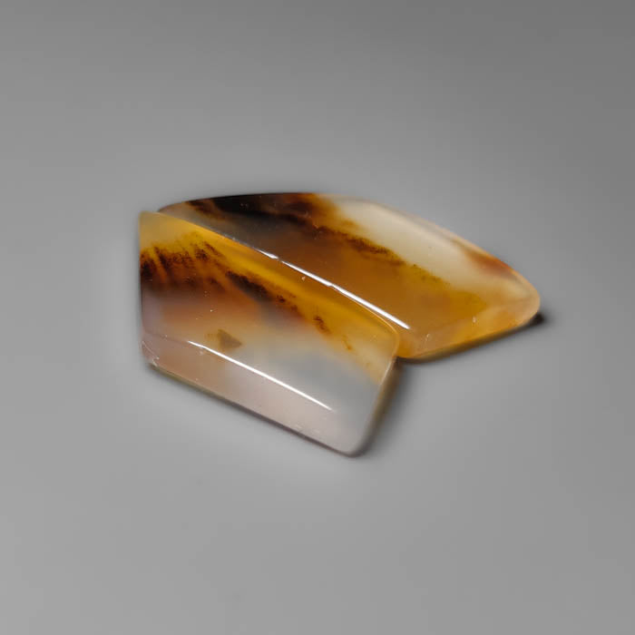 Montana Agate Pair