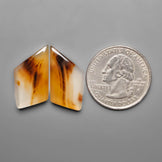 Montana Agate Pair