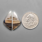 Montana Agate Pair
