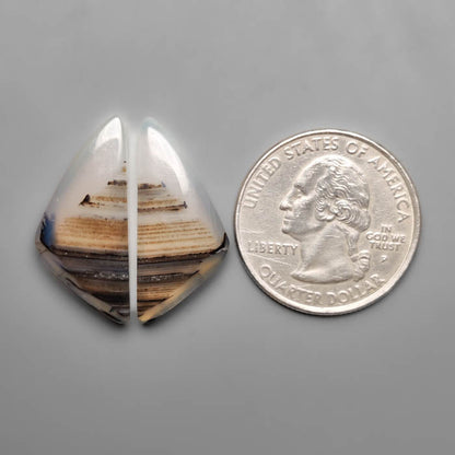 Montana Agate Pair