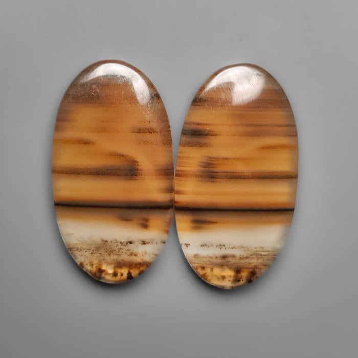 Montana Agate