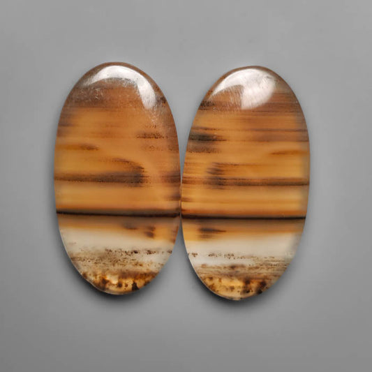 Montana Agate