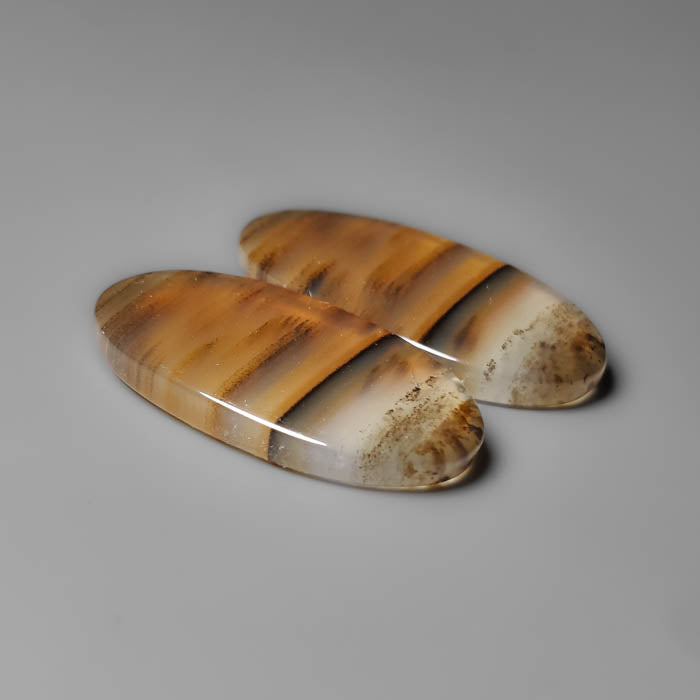 Montana Agate Pair
