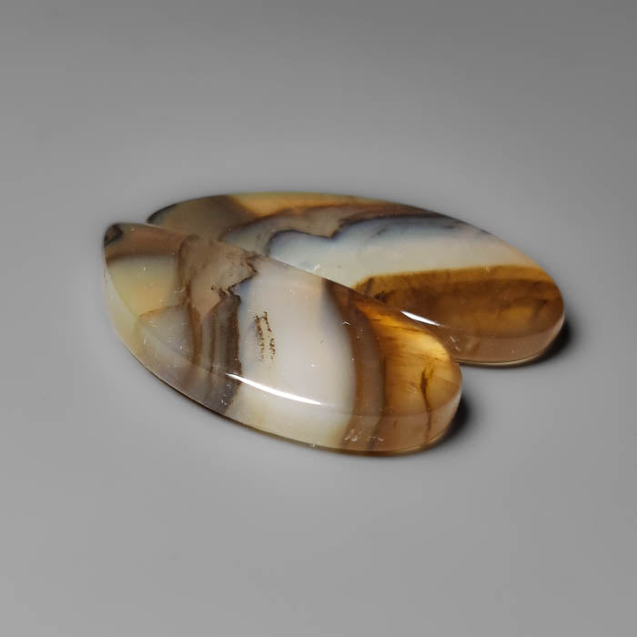 Montana Agate Pair