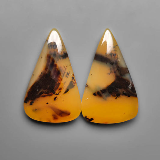 Montana Agate