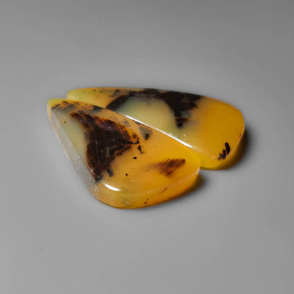 Montana Agate Pair