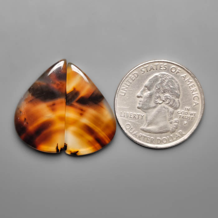Montana Agate Pair