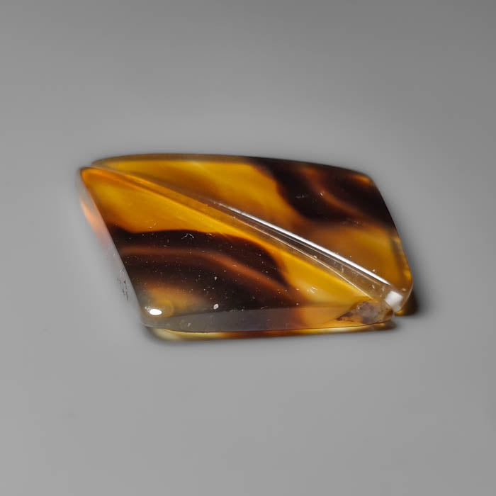 Montana Agate Pair