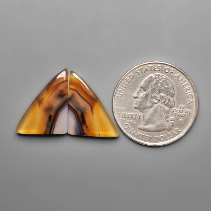 Montana Agate Pair