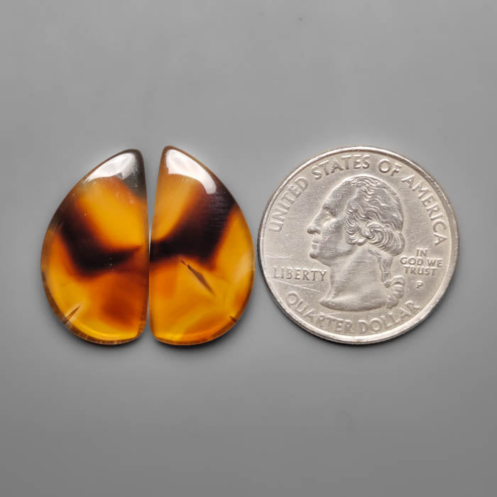 Montana Agate Pair