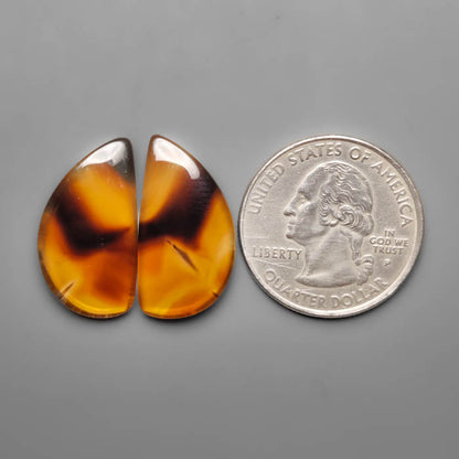 Montana Agate Pair