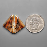 Montana Agate Pair