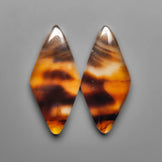 Montana Agate