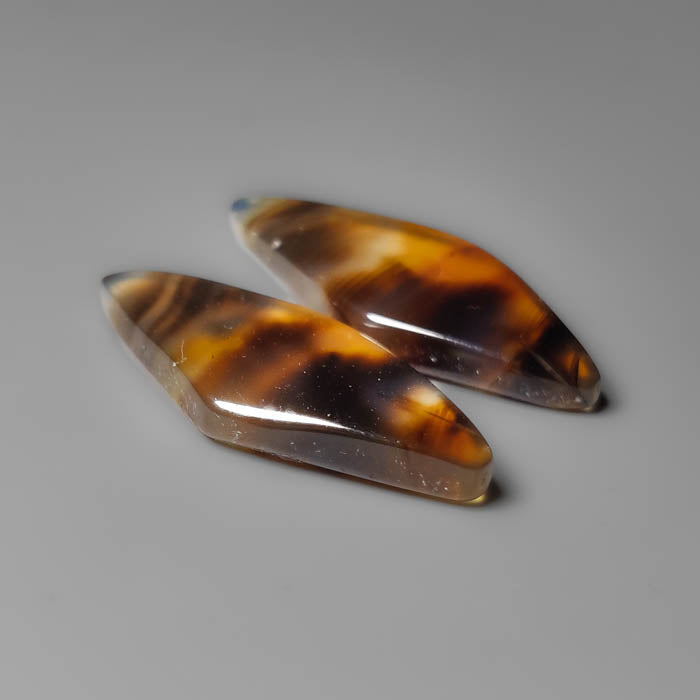 Montana Agate Pair