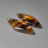 Montana Agate Pair