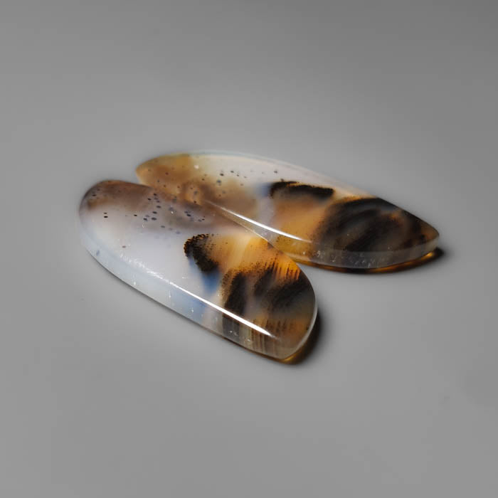 Montana Agate Pair