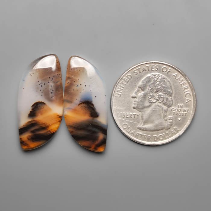 Montana Agate Pair