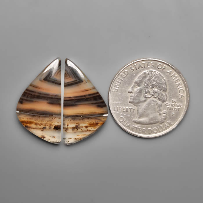 Montana Agate Pair